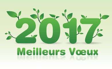 2017 – Happy New Year – Frohes Neues Jahr – Gelukkig Nieuw jaar – Feliz Año – Nuovo Anno Felice – Szczęśliwego Nowego Roku – Bonne Année – 2017