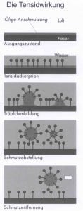 surfactant-absorption-formation-nettoyage