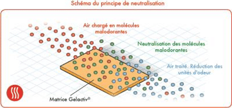 Matrice Gelactiv® Matrice Gelactiv®